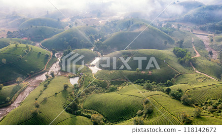 Beautiful aerial view of Long Coc tea hills. Long Coc in Phu Tho Province, Vietnam 118142672
