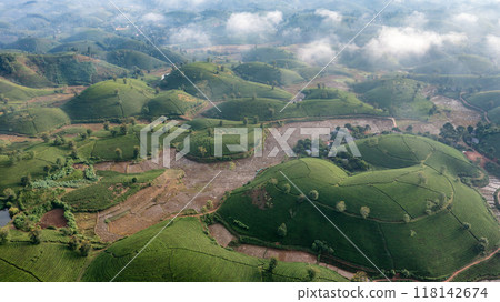 Beautiful aerial view of Long Coc tea hills. Long Coc in Phu Tho Province, Vietnam 118142674