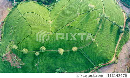 Beautiful aerial view of Long Coc tea hills. Long Coc in Phu Tho Province, Vietnam 118142676