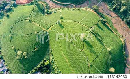 Beautiful aerial view of Long Coc tea hills. Long Coc in Phu Tho Province, Vietnam Beautiful aerial view of Long Coc tea hills. Long Coc in Phu Tho Province, Vietnam 118142680