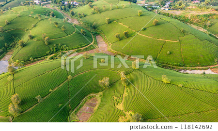 Beautiful aerial view of Long Coc tea hills. Long Coc in Phu Tho Province, Vietnam Beautiful aerial view of Long Coc tea hills. Long Coc in Phu Tho Province, Vietnam 118142692