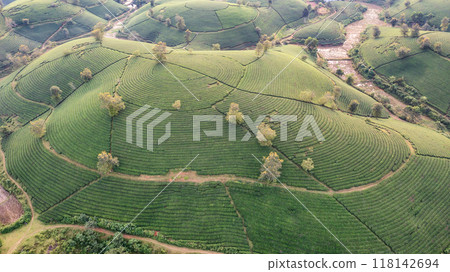 Beautiful aerial view of Long Coc tea hills. Long Coc in Phu Tho Province, Vietnam 118142694