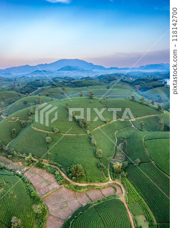 Beautiful aerial view of Long Coc tea hills. Long Coc in Phu Tho Province, Vietnam 118142700
