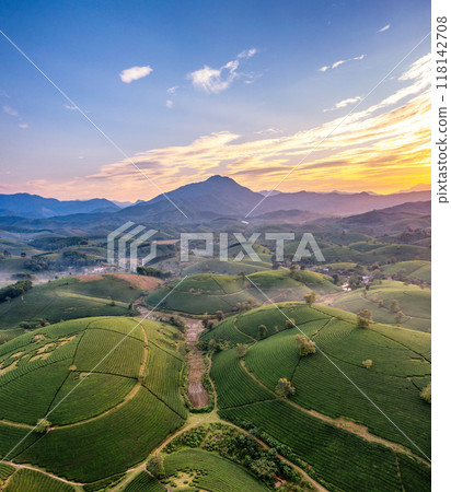Beautiful aerial view of Long Coc tea hills. Long Coc in Phu Tho Province, Vietnam Beautiful aerial view of Long Coc tea hills. Long Coc in Phu Tho Province, Vietnam 118142708