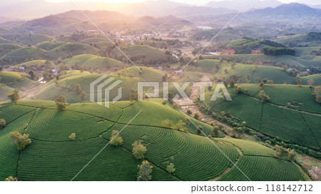 Beautiful aerial view of Long Coc tea hills. Long Coc in Phu Tho Province, Vietnam 118142712