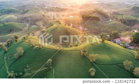 Beautiful aerial view of Long Coc tea hills. Long Coc in Phu Tho Province, Vietnam Beautiful aerial view of Long Coc tea hills. Long Coc in Phu Tho Province, Vietnam 118142722