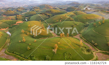 Beautiful aerial view of Long Coc tea hills. Long Coc in Phu Tho Province, Vietnam 118142724