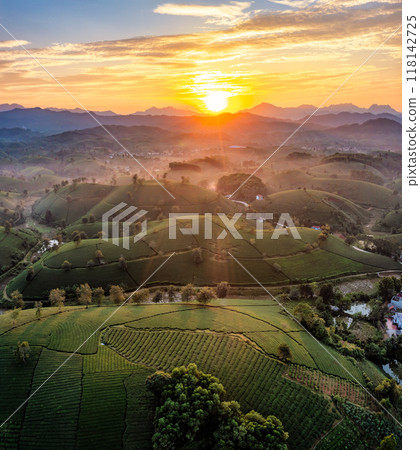 Beautiful aerial view of Long Coc tea hills. Long Coc in Phu Tho Province, Vietnam Beautiful aerial view of Long Coc tea hills. Long Coc in Phu Tho Province, Vietnam 118142725