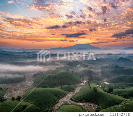 Beautiful aerial view of Long Coc tea hills. Long Coc in Phu Tho Province, Vietnam 118142738