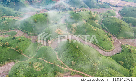 Beautiful aerial view of Long Coc tea hills. Long Coc in Phu Tho Province, Vietnam Beautiful aerial view of Long Coc tea hills. Long Coc in Phu Tho Province, Vietnam 118142761