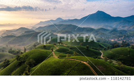 Beautiful aerial view of Long Coc tea hills. Long Coc in Phu Tho Province, Vietnam Beautiful aerial view of Long Coc tea hills. Long Coc in Phu Tho Province, Vietnam 118142781