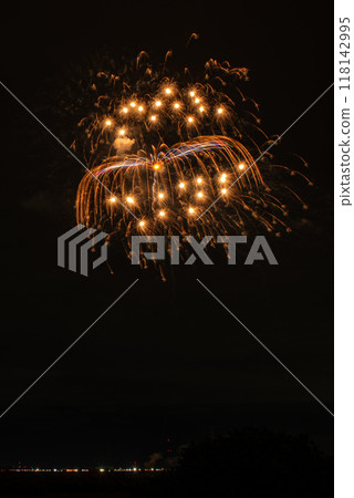 三城合作利根川煙火大會 118142995