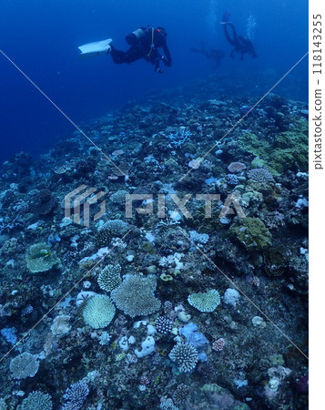 The ocean and divers of Miyakojima, where coral bleaching is occurring The ocean and divers of Miyakojima, where coral bleaching is occurring 118143255