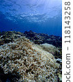 Underwater in Miyakojima where coral bleaching is occurring 118143258