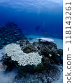 Underwater in Miyakojima where coral bleaching is occurring 118143261