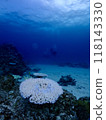 Underwater in Miyakojima where coral bleaching is occurring 118143330