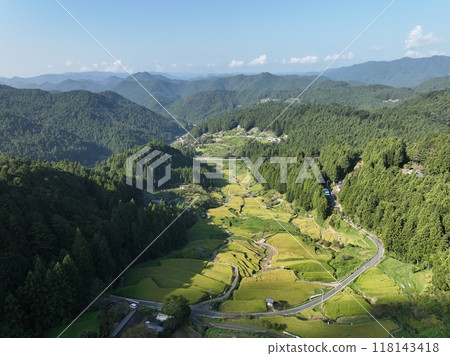 Aerial view of Yotsuya Senmaida, summer morning scenery 118143418