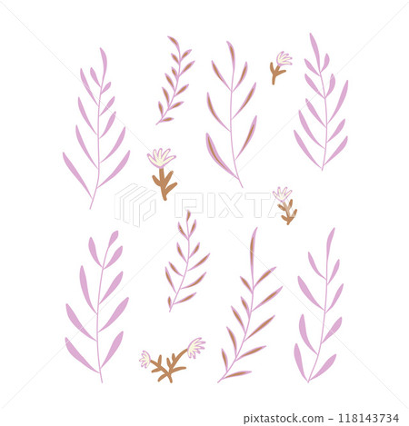 Leaves set. Floral kit. Vector hand drawn collection illustration isolated on white background. 118143734