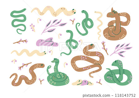 Set of snakes. Crawling reptile with leaves and berries kit. Vector hand drawn collection illustration isolated on white background. 118143752
