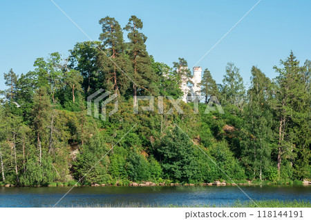 ancient building on a wooded island 118144191