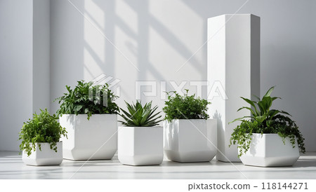 White ceramic pots with green plants on a white background in a bright interior with geometric shapes. 118144271