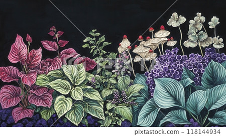 Detailed botanical illustration with plants and mushrooms Detailed botanical illustration with plants and mushrooms 118144934