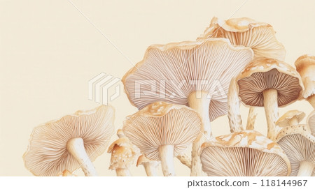 Detailed botanical drawing showcasing mushrooms 118144967