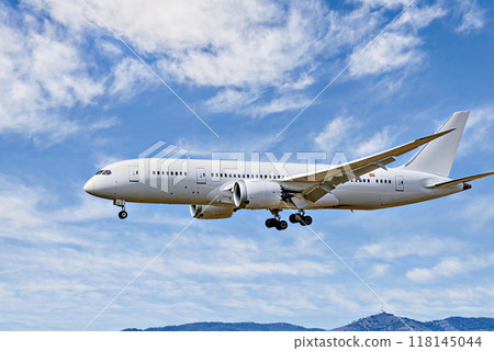 Passenger plane landing at the airport, under a blue sky with white clouds 118145044