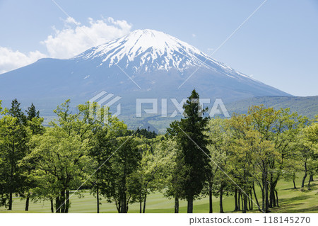 Golf course with beautiful fresh green grass Golf course with beautiful fresh green grass 118145270