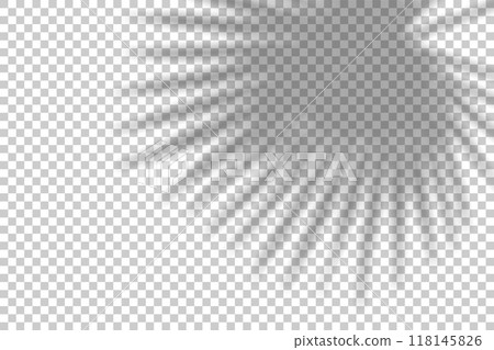 Shadow overlay from a palm tree branch isolated on a transparent background. 118145826