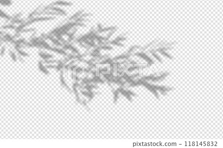 Shadow overlay from a tree branch isolated on a transparent background. 118145832