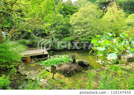 Hase Temple 118147450