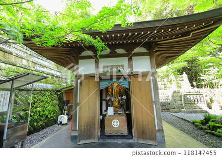 Hase Temple 118147455