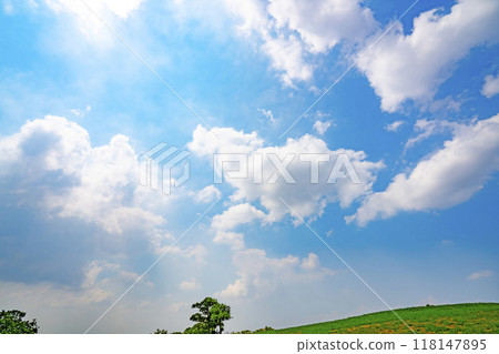夏天藍天和草甸 夏天藍天和草甸 118147895