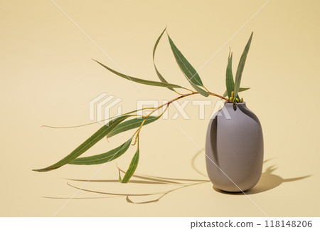 A bouquet of fresh eucalyptus  in a gray vase on a yellow background with shadow. 118148206