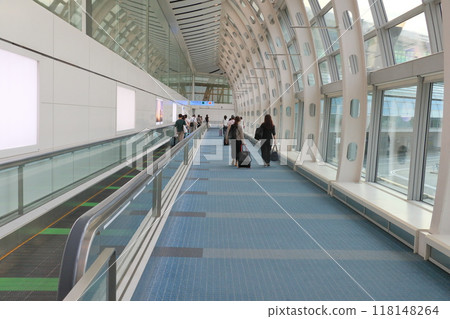 Passengers heading to the arrival lobby Passengers heading to the arrival lobby 118148264