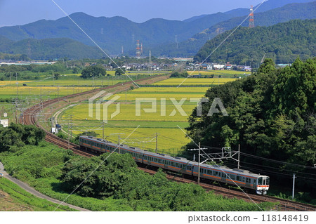 初秋的東海道本線運行的311系車輛 初秋的東海道本線運行的311系車輛 118148419