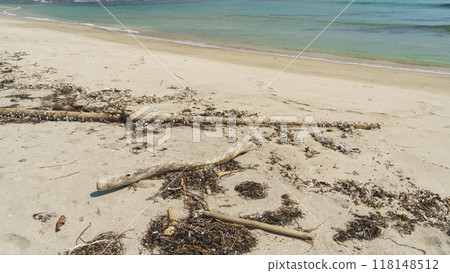 Driftwood on the beach Driftwood on the beach 118148512