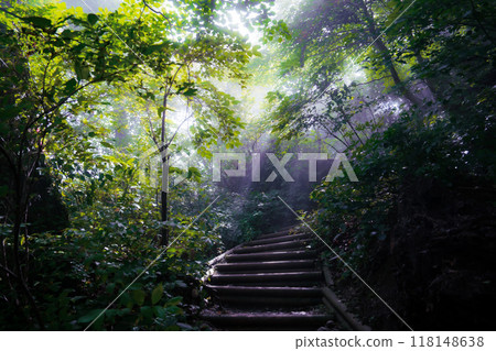 A mountain trail bathed in light A mountain trail bathed in light 118148638