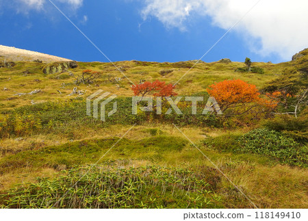 群馬縣和栃木縣/日光白根山 群馬縣和栃木縣/日光白根山 118149410