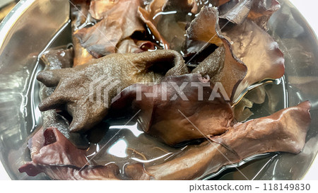 Fungus, which was reconstituted with water 118149830