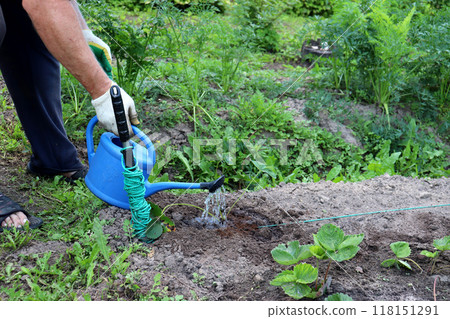 a man's hand in a glove with a small watering can, legs 118151291