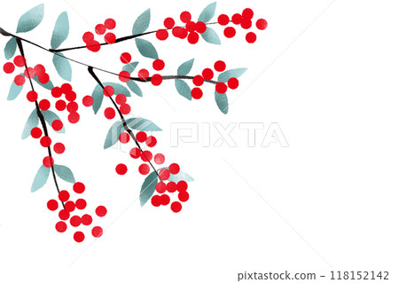 Rowan Card 12 118152142