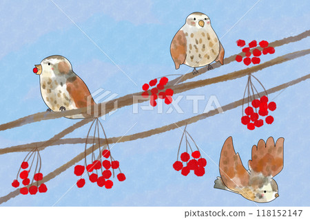 Rowan and Bird Card 1 118152147