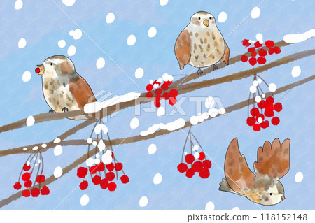 Rowan and Bird Card 2 118152148