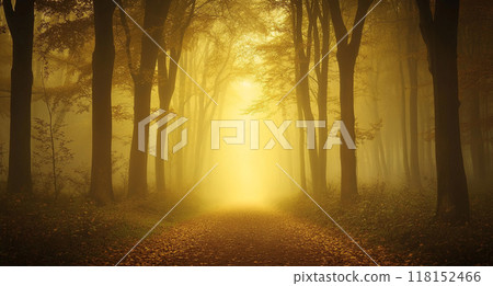 A mystical forest with tall trees, bathed in golden light filtering through the foggy atmosphere. A mystical forest with tall trees, bathed in golden light filtering through the foggy atmosphere. 118152466