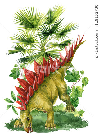 Realistic dinosaur Jurassic plant isolated. Hand draw watercolor dinosaurs illustration Stegosaurus, ancient animals Realistic dinosaur Jurassic plant isolated. Hand draw watercolor dinosaurs illustration Stegosaurus, ancient animals 118152730
