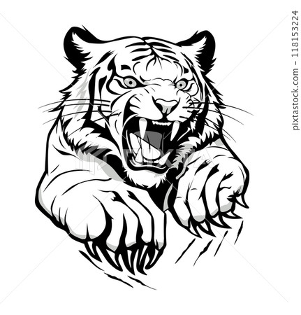 Tiger with sharp claws 118153224