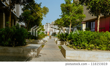 Raised beds in an urban garden growing plants flowers, herbs spices and berries. High quality photo 118153819