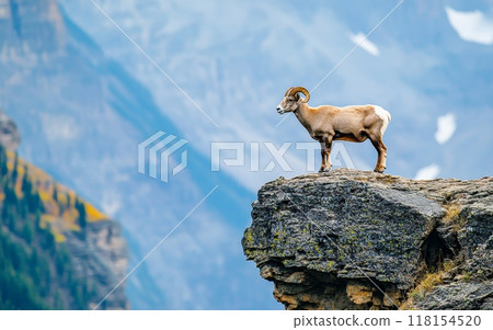 A majestic bighorn sheep stands atop a rocky cliff, silhouetted against a backdrop of distant blue mountains, showcasing the animal's sure-footed nature 118154520